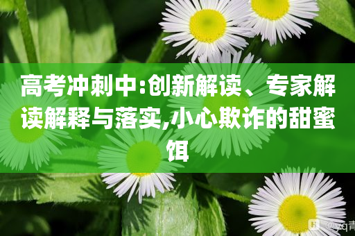 高考沖刺中:創(chuàng)新解讀、專家解讀解釋與落實(shí),小心欺詐的甜蜜餌