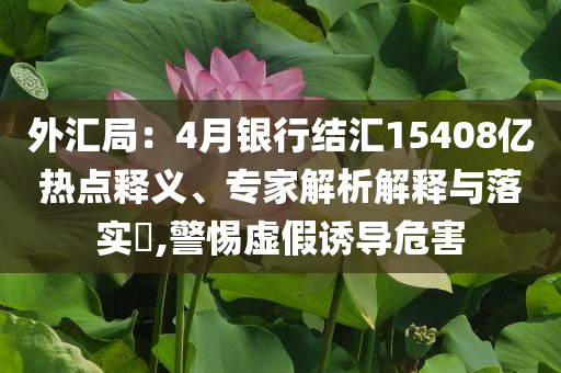 外匯局：4月銀行結(jié)匯15408億熱點(diǎn)釋義、專家解析解釋與落實(shí)?,警惕虛假誘導(dǎo)危害