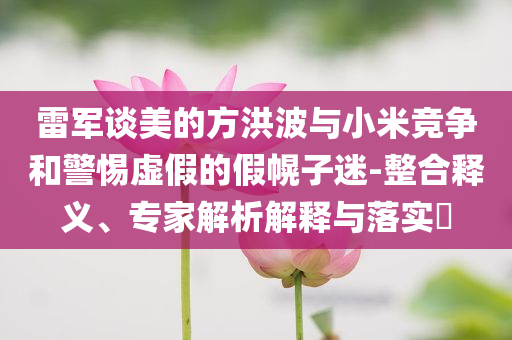 雷軍談美的方洪波與小米競(jìng)爭(zhēng)和警惕虛假的假幌子迷-整合釋義、專家解析解釋與落實(shí)?