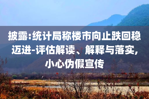 披露:統(tǒng)計局稱樓市向止跌回穩(wěn)邁進-評估解讀、解釋與落實,小心偽假宣傳