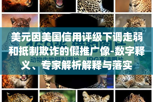 美元因美國信用評級下調(diào)走弱和抵制欺詐的假推廣像-數(shù)字釋義、專家解析解釋與落實