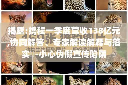 揭露:攜程一季度營收138億元,協(xié)同解答、專家解讀解釋與落實(shí)?-小心偽假宣傳陷阱
