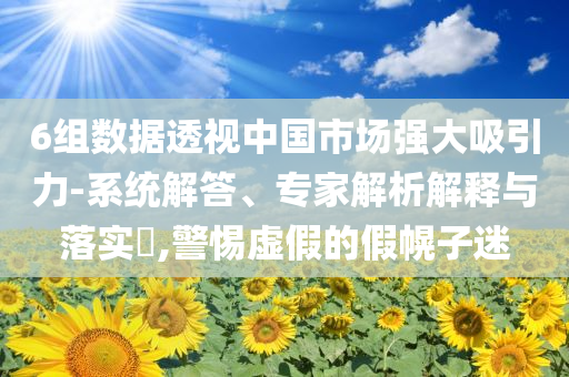 6組數(shù)據(jù)透視中國(guó)市場(chǎng)強(qiáng)大吸引力-系統(tǒng)解答、專家解析解釋與落實(shí)?,警惕虛假的假幌子迷