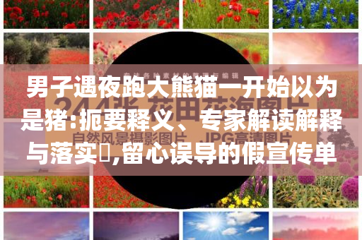 男子遇夜跑大熊貓一開(kāi)始以為是豬:扼要釋義、專家解讀解釋與落實(shí)?,留心誤導(dǎo)的假宣傳單