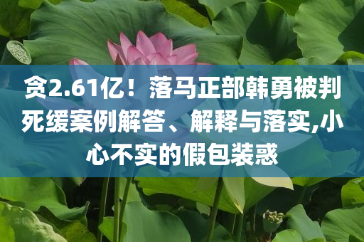 貪2.61億！落馬正部韓勇被判死緩案例解答、解釋與落實,小心不實的假包裝惑