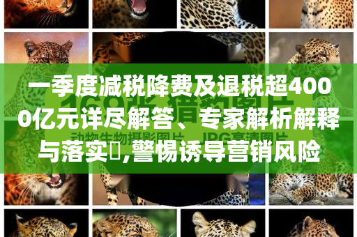 一季度減稅降費及退稅超4000億元詳盡解答、專家解析解釋與落實?,警惕誘導營銷風險