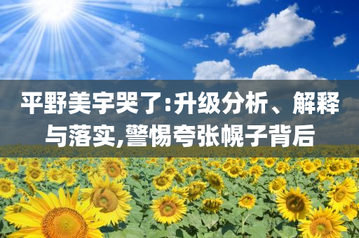 平野美宇哭了:升級分析、解釋與落實,警惕夸張幌子背后
