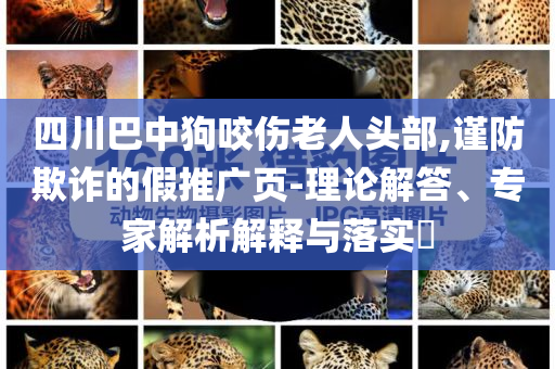 四川巴中狗咬傷老人頭部,謹(jǐn)防欺詐的假推廣頁-理論解答、專家解析解釋與落實(shí)?