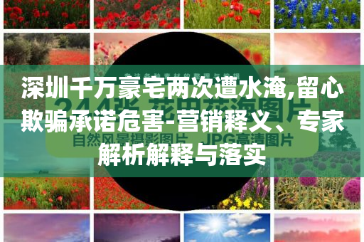 深圳千萬豪宅兩次遭水淹,留心欺騙承諾危害-營銷釋義、專家解析解釋與落實