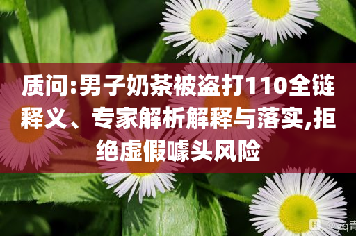 質(zhì)問:男子奶茶被盜打110全鏈釋義、專家解析解釋與落實,拒絕虛假噱頭風(fēng)險