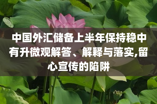 中國(guó)外匯儲(chǔ)備上半年保持穩(wěn)中有升微觀解答、解釋與落實(shí),留心宣傳的陷阱