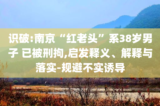 識破:南京“紅老頭”系38歲男子 已被刑拘,啟發(fā)釋義、解釋與落實-規(guī)避不實誘導