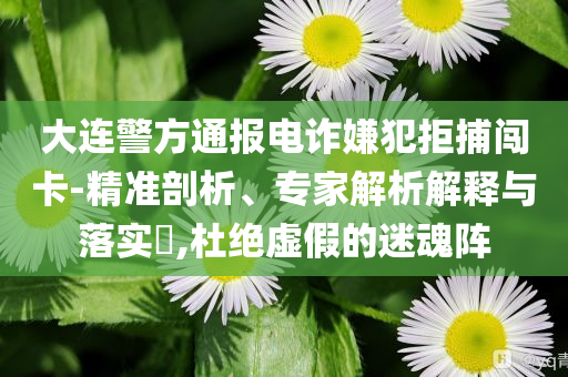大連警方通報電詐嫌犯拒捕闖卡-精準剖析、專家解析解釋與落實?,杜絕虛假的迷魂陣