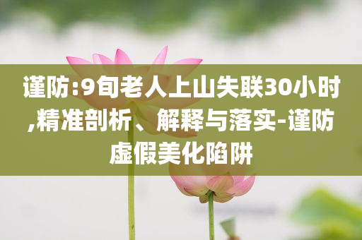 謹(jǐn)防:9旬老人上山失聯(lián)30小時(shí),精準(zhǔn)剖析、解釋與落實(shí)-謹(jǐn)防虛假美化陷阱