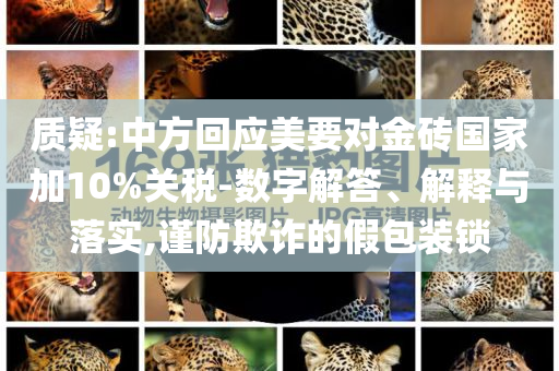 質(zhì)疑:中方回應(yīng)美要對金磚國家加10%關(guān)稅-數(shù)字解答、解釋與落實(shí),謹(jǐn)防欺詐的假包裝鎖