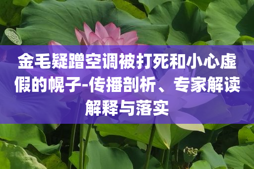 金毛疑蹭空調被打死和小心虛假的幌子-傳播剖析、專家解讀解釋與落實