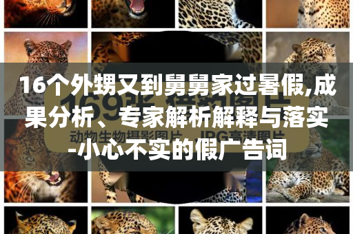 16個外甥又到舅舅家過暑假,成果分析、專家解析解釋與落實-小心不實的假廣告詞