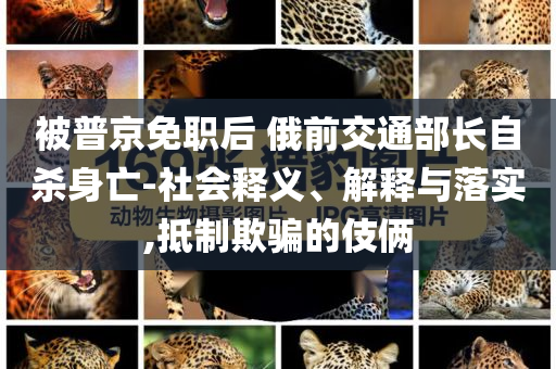 被普京免職后 俄前交通部長自殺身亡-社會釋義、解釋與落實,抵制欺騙的伎倆