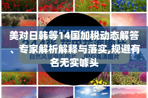 美對日韓等14國加稅動態(tài)解答、專家解析解釋與落實(shí),規(guī)避有名無實(shí)噱頭