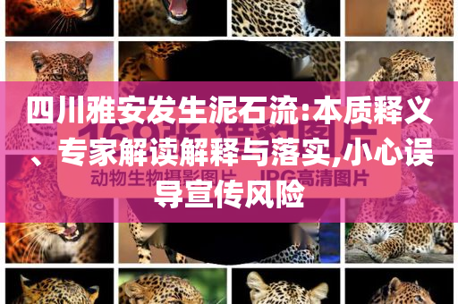 四川雅安發(fā)生泥石流:本質(zhì)釋義、專家解讀解釋與落實,小心誤導(dǎo)宣傳風(fēng)險