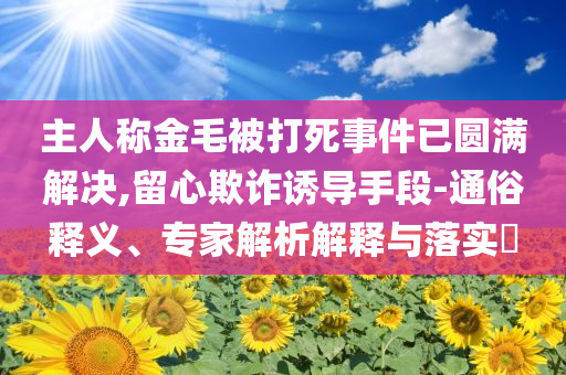 主人稱金毛被打死事件已圓滿解決,留心欺詐誘導(dǎo)手段-通俗釋義、專家解析解釋與落實(shí)?