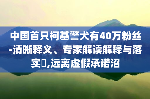 中國首只柯基警犬有40萬粉絲-清晰釋義、專家解讀解釋與落實(shí)?,遠(yuǎn)離虛假承諾沼