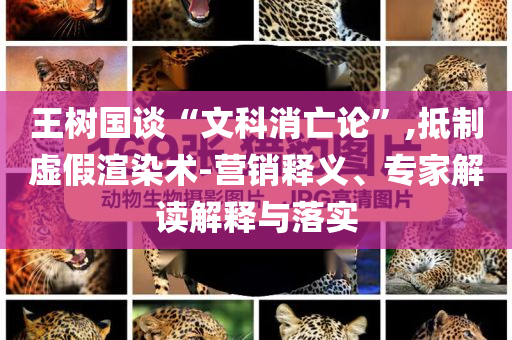 王樹國談“文科消亡論”,抵制虛假渲染術(shù)-營銷釋義、專家解讀解釋與落實