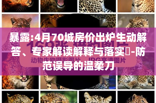 暴露:4月70城房?jī)r(jià)出爐生動(dòng)解答、專家解讀解釋與落實(shí)?-防范誤導(dǎo)的溫柔刀