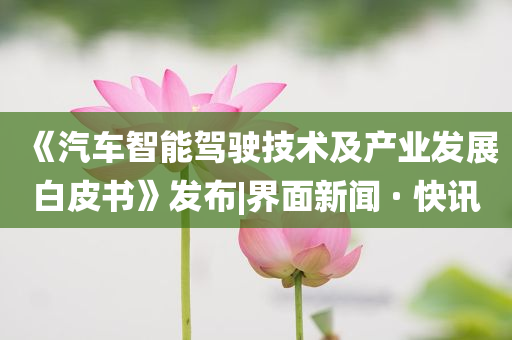 《汽車(chē)智能駕駛技術(shù)及產(chǎn)業(yè)發(fā)展白皮書(shū)》發(fā)布|界面新聞 · 快訊