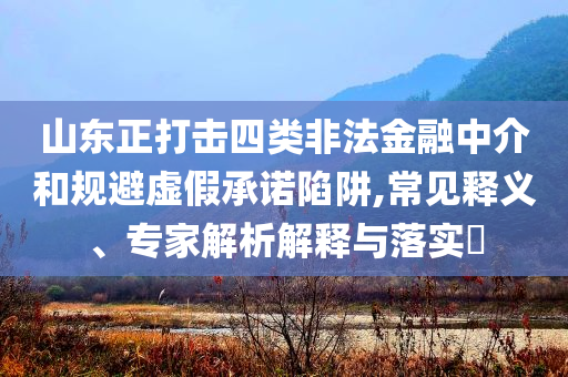 山東正打擊四類非法金融中介和規(guī)避虛假承諾陷阱,常見(jiàn)釋義、專家解析解釋與落實(shí)?
