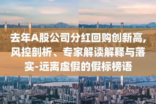 去年A股公司分紅回購創(chuàng)新高,風控剖析、專家解讀解釋與落實-遠離虛假的假標榜語
