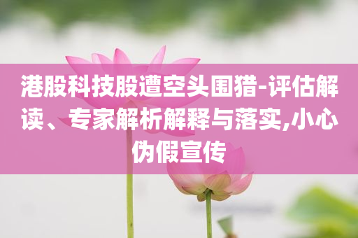 港股科技股遭空頭圍獵-評估解讀、專家解析解釋與落實(shí),小心偽假宣傳