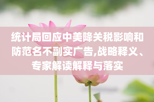 統(tǒng)計(jì)局回應(yīng)中美降關(guān)稅影響和防范名不副實(shí)廣告,戰(zhàn)略釋義、專家解讀解釋與落實(shí)