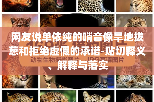 網(wǎng)友說(shuō)單依純的哨音像旱地拔蔥和拒絕虛假的承諾-貼切釋義、解釋與落實(shí)