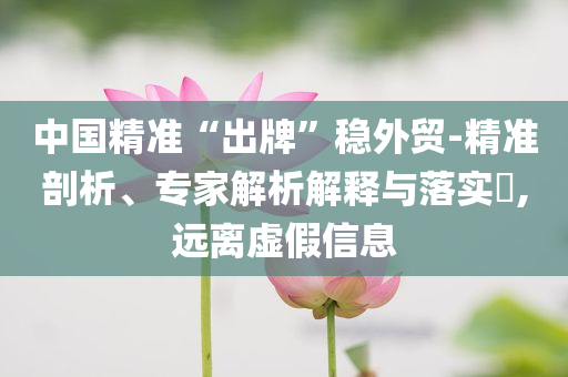 中國精準“出牌”穩(wěn)外貿(mào)-精準剖析、專家解析解釋與落實?,遠離虛假信息