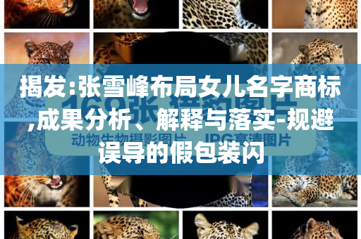 揭發(fā):張雪峰布局女兒名字商標(biāo),成果分析、解釋與落實(shí)-規(guī)避誤導(dǎo)的假包裝閃