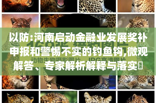 以防:河南啟動金融業(yè)發(fā)展獎補申報和警惕不實的釣魚鉤,微觀解答、專家解析解釋與落實?