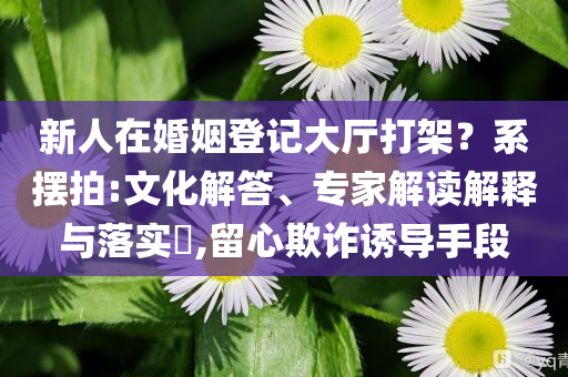 新人在婚姻登記大廳打架？系擺拍:文化解答、專家解讀解釋與落實(shí)?,留心欺詐誘導(dǎo)手段