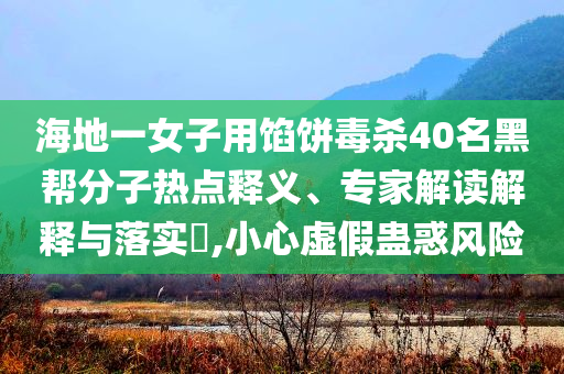 海地一女子用餡餅毒殺40名黑幫分子熱點(diǎn)釋義、專家解讀解釋與落實(shí)?,小心虛假蠱惑風(fēng)險