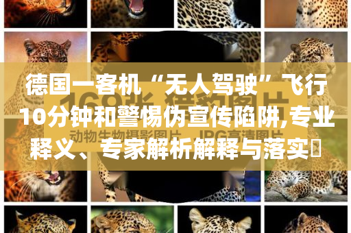 德國一客機(jī)“無人駕駛”飛行10分鐘和警惕偽宣傳陷阱,專業(yè)釋義、專家解析解釋與落實(shí)?