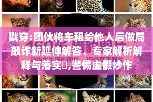 戳穿:團伙將車租給他人后做局敲詐新延伸解答、專家解析解釋與落實?,警惕虛假炒作