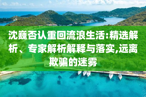 沈巍否認(rèn)重回流浪生活:精選解析、專家解析解釋與落實,遠(yuǎn)離欺騙的迷霧