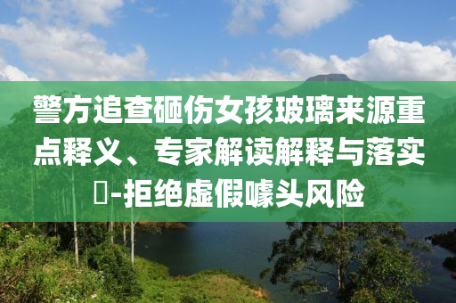 警方追查砸傷女孩玻璃來(lái)源重點(diǎn)釋義、專(zhuān)家解讀解釋與落實(shí)?-拒絕虛假噱頭風(fēng)險(xiǎn)