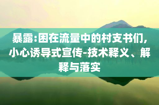 暴露:困在流量中的村支書們,小心誘導(dǎo)式宣傳-技術(shù)釋義、解釋與落實