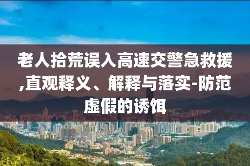 老人拾荒誤入高速交警急救援,直觀釋義、解釋與落實(shí)-防范虛假的誘餌