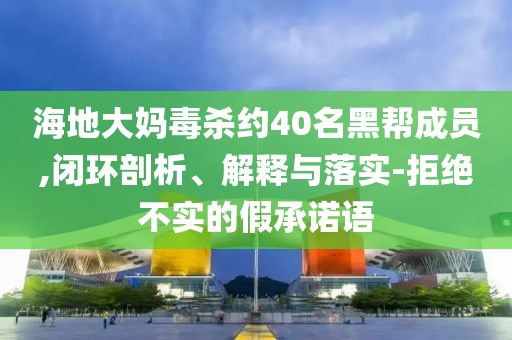 海地大媽毒殺約40名黑幫成員,閉環(huán)剖析、解釋與落實(shí)-拒絕不實(shí)的假承諾語(yǔ)