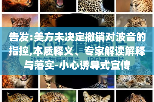 告發(fā):美方未決定撤銷對(duì)波音的指控,本質(zhì)釋義、專家解讀解釋與落實(shí)-小心誘導(dǎo)式宣傳