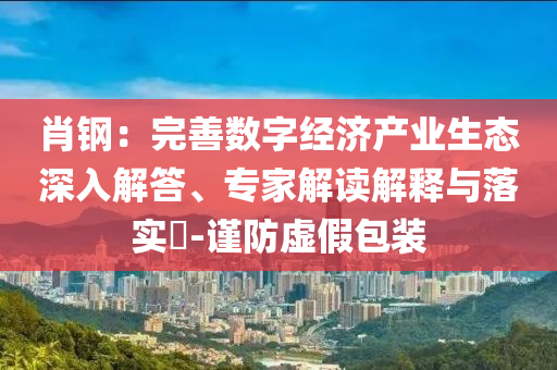 肖鋼：完善數(shù)字經(jīng)濟(jì)產(chǎn)業(yè)生態(tài)深入解答、專家解讀解釋與落實(shí)?-謹(jǐn)防虛假包裝