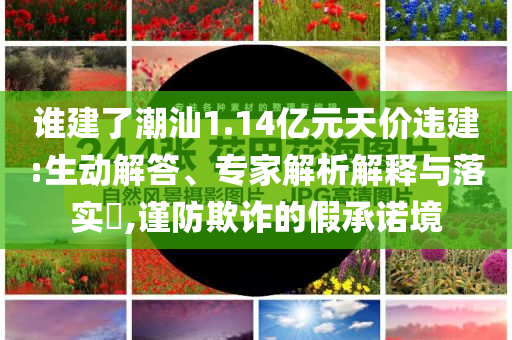誰(shuí)建了潮汕1.14億元天價(jià)違建:生動(dòng)解答、專(zhuān)家解析解釋與落實(shí)?,謹(jǐn)防欺詐的假承諾境