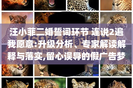 汪小菲二婚誓詞環(huán)節(jié) 連說2遍我愿意:升級分析、專家解讀解釋與落實,留心誤導(dǎo)的假廣告夢